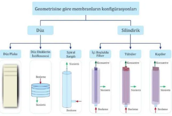 Şekil 1.2:Geometrik şekil ve tertip tarzına göre membranların sınıflandırılması [12]. 