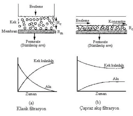 Şekil 1.3:Klasik ve çapraz akış filtrasyonda akı azalması ve kek kalınlığı değişimi. 