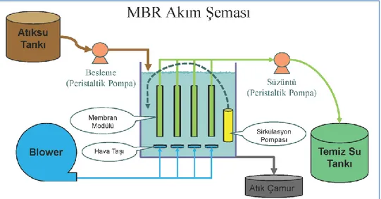 Şekil 2.3: Çalışmalarda kullanılan membran biyoreaktörün blok diyagramı. 