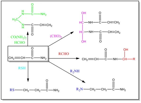 Şekil 3.3: Akrilamidin bazı fonksiyonel gruplarla reaksiyonlar. 