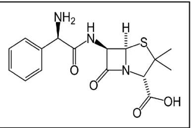 Şekil 1.2: Ampisilin’ in kimyasal yapısı [83]. 