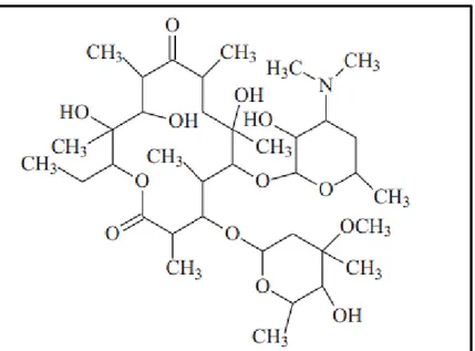 Şekil 1.3: Eritromisin ’in kimyasal yapısı [81]. 
