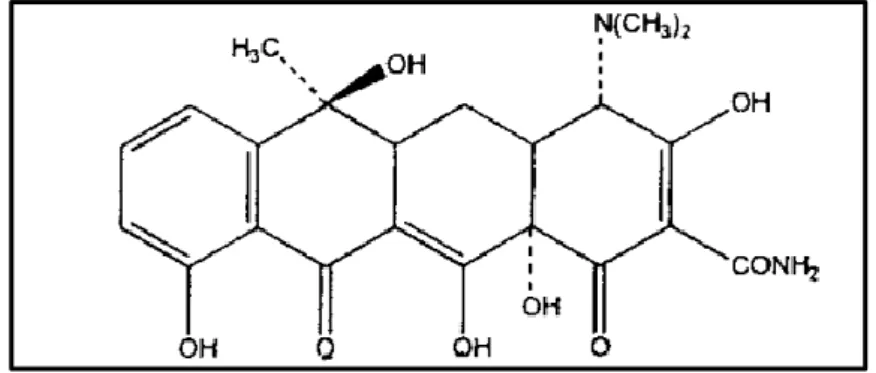 Şekil 1.5: Tetrasiklin’ in kimyasal yapısı [97]. 