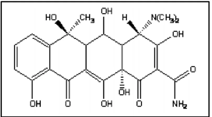 Şekil 1.6: Oksitetrasiklin’ in kimyasal yapısı [100]. 