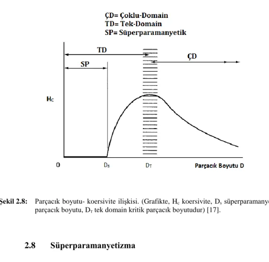 Şekil 2.8:  Parçacık boyutu- koersivite ilişkisi. (Grafikte, H c  koersivite, D s  süperparamanyetik kritik  parçacık boyutu, D T  tek domain kritik parçacık boyutudur) [17]