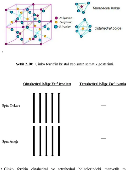 Şekil 2.11:  Çinko  ferritin  oktahedral  ve  tetrahedral  bölgelerindeki  manyetik  momentlerinin  yerleşiminin şematik gösterimi