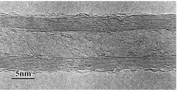 Şekil 1.9: Çok duvarlı bir karbon nanotüpün katmanlı yapısını gösteren TEM mikrografı  (Erik T