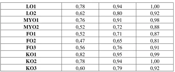 Çizelge 8. Kriterlerin Önem Ağırlıkları Bulanık Karar Matrisi 