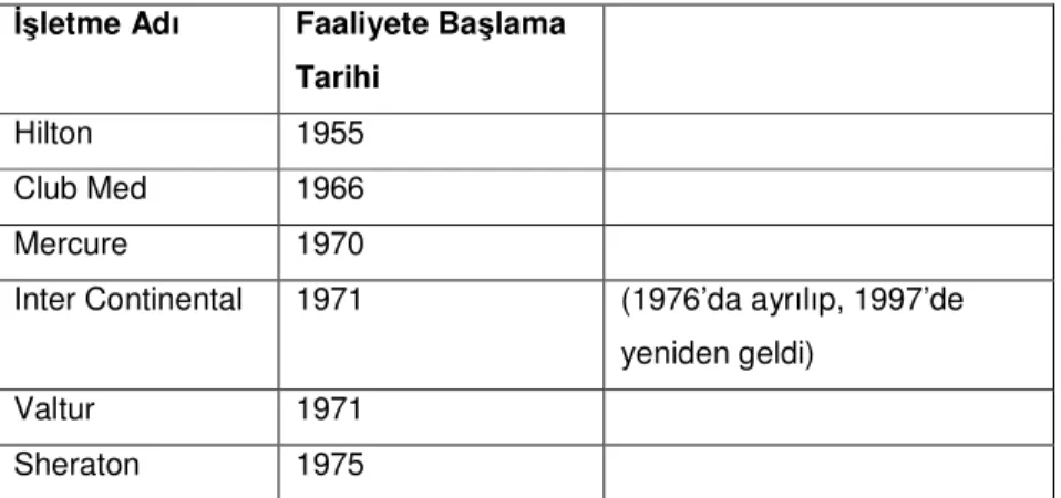 Tablo  1.7.  Türkiye’deki  Yabancı  Otel  İşletme  Zincirleri(Geliş  ve  Faaliyete  Başlama Tarihine Göre 