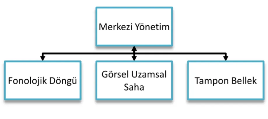 Şekil 4. Çalışan Bellek Modeli. 