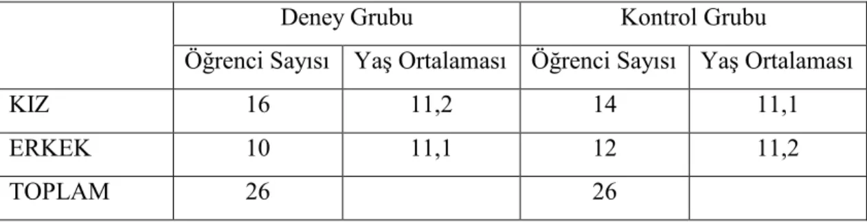 Tablo 3.1 Örneklemin Cinsiyet Özellikleri 