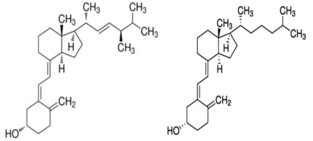 Şekil 2.3. D2 ve D3 Vitamini.