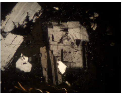 Şekil 3.8  Vitrik-kristal tüf içerisinde gözlenen plajioklas kristalleri.
