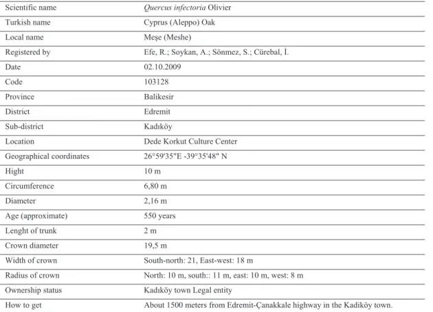 Table 1: Properties of Dede Korkut Oak 