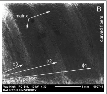 Figure 10. Scanning electron microscope (SEM) image of the glass fibers with different diameters on the ‘‘B’’ surface.