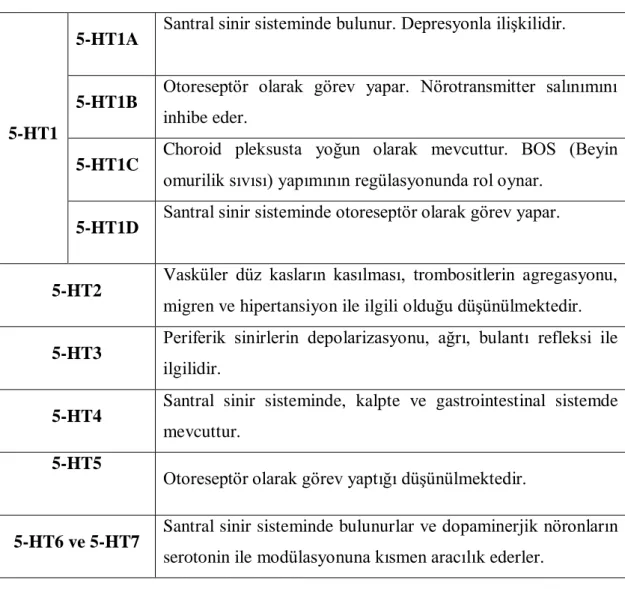 Tablo 1. 1: Serotonin reseptörleri ve iĢlevleri    [20]   