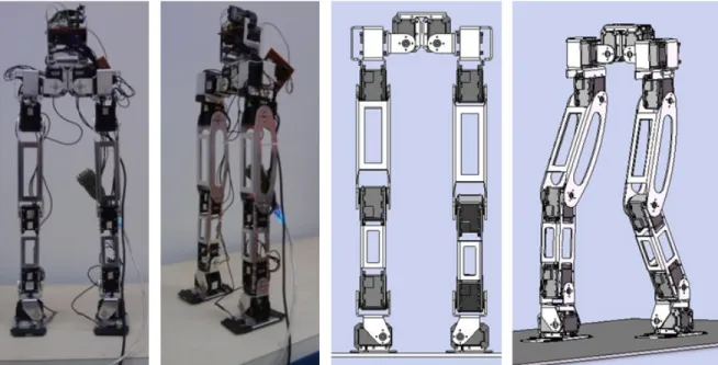 Figure 1. Biped robot RUBI and its CAD model.