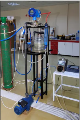 Figure 5. The developed membrane draft tube jet loop reactor. 