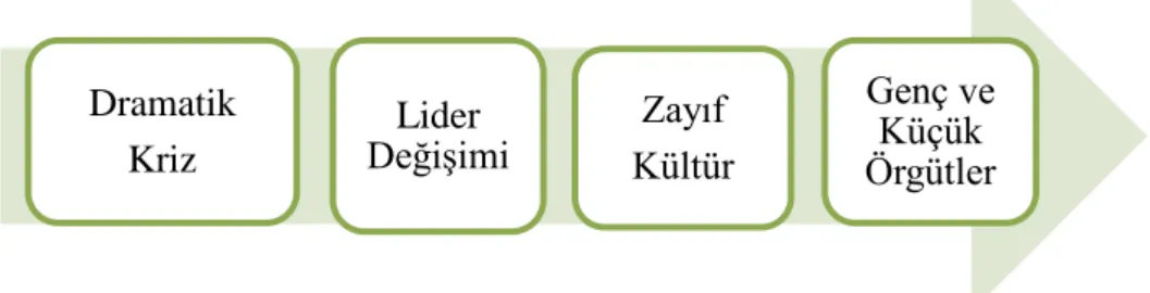Şekil 8. Kültürel Değişimin Nedenleri 