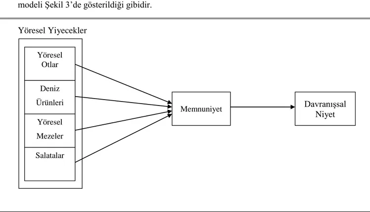 Şekil 3. Araştırma Modeli Kapsamında Bulunan Değişkenler Arasındaki Beklenen  Etkiler 