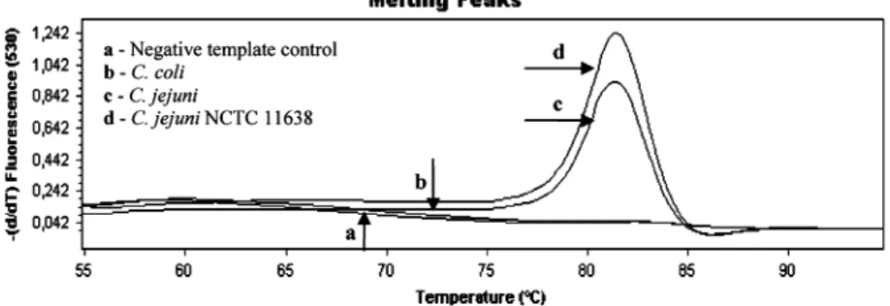 Figure 1 illustrates the melting curve analysis of real-time PCR-amplified product that is in size 735-bp using the hipO primer set for the differentiation of the isolates at species level