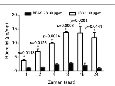 Şekil 1. Farklı dozlarda tigesiklinin IB3-1 ve BEAS-2B hücrelerinin içi- içi-ne giriş oranları