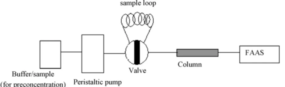 Fig. 1. Schematic diagram of the on-line ﬂow injection FAAS system.
