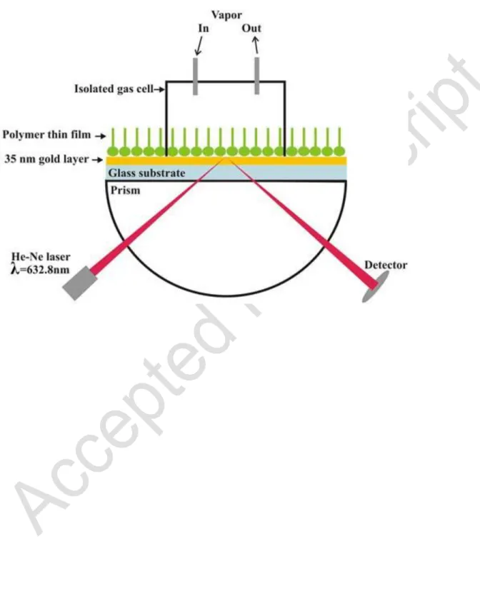 Figure 1. Schematic diagram of the Kretschmann (1968) configuration for surface plasmon  resonance using a semi-cylindrical prism (refractive index of 1.515) and a He-Ne laser (632.8  nm)