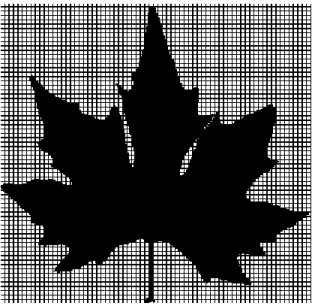 Fig. 2. A grid box-image with side-length of 285 pixels - an example of Platanus orientalis