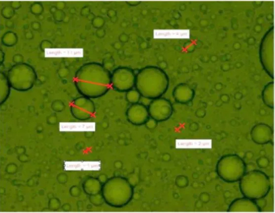Figure 5.  The image of the optical microscope of  the microcapsules [12] 
