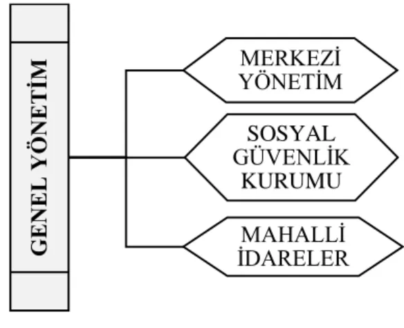 Şekil 1. Devlet Muhasebesi Kapsamı 