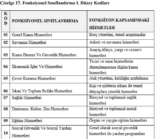 Çizelge 17. Fonksiyonel Sınıflandırma I. Düzey Kodları 