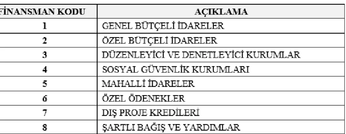 Çizelge 19. Finansman Tipi Sınıflandırma Kodları 