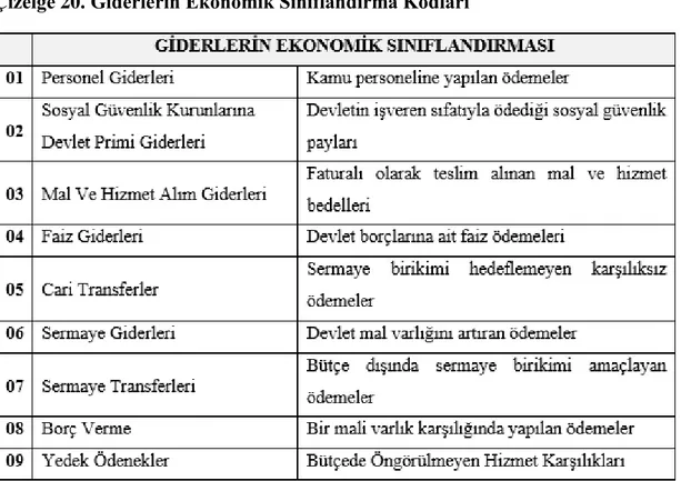 Çizelge 20. Giderlerin Ekonomik Sınıflandırma Kodları 