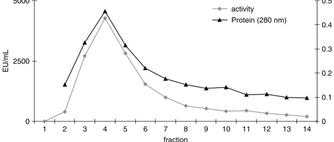 Figure 1. Purification of LsPPO by elution from the affinity gel.