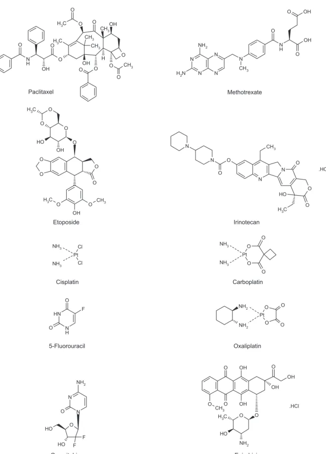 FIG. 1. The chemical structures of paclitaxel, etoposide, cisplatin, 5-fluorouracil, gemcitabine, methotrexate, irinotecan, carboplatin, oxaliplatin and epirubicin (23)
