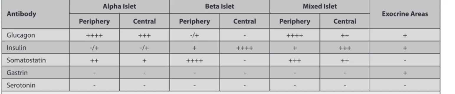 Table 1. Distribution and localization of endocrine cells in pancreas of the sparrowhawk Tablo 1