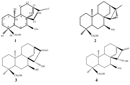 Figure 1. Isolated ent-kaurane diterpenoids from Sideritis tmolea P.H.Davis  3. Results and Discussion 