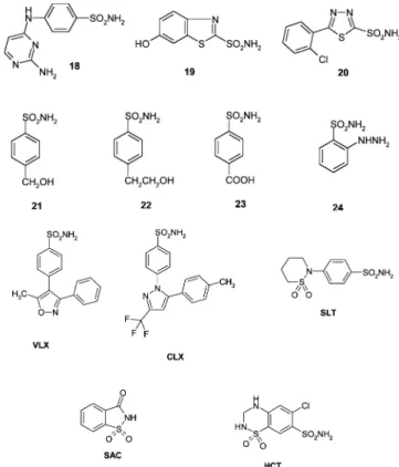 Table 2 shows inhibition data for this panel of sulfonamides (and one sulfamate, TPM) against VchCA