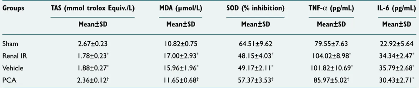 Figure 1. The mean TAS, MDA, SOD, TNF-α, and IL-6 level in all experimental groups. IL-6: Interleukin-6; MDA: Malondialdehyde; SOD: 