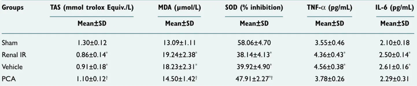 Table 2.  The mean kidney TAS, MDA, SOD, TNF-α and IL-6 level in all experimental groups