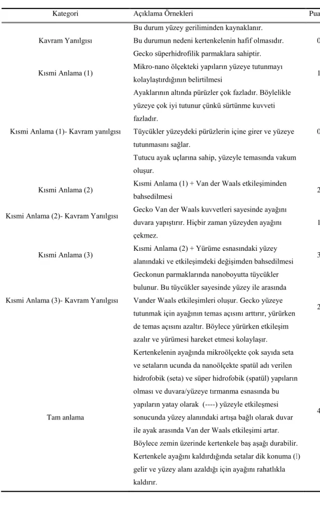 Tablo 3.5: Gecko ile ilgili soru için örnek analiz 