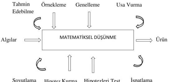 Şekil 2.1: Matematiksel düşünmenin işleyişi (Alkan ve Bukova Güzel, 2005). 