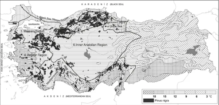 Fig.  1:  Annual  average  temperature  and  occurrence  areas  of  Anatolian  black  pine  (Pinus  nigra  Arnold  subsp