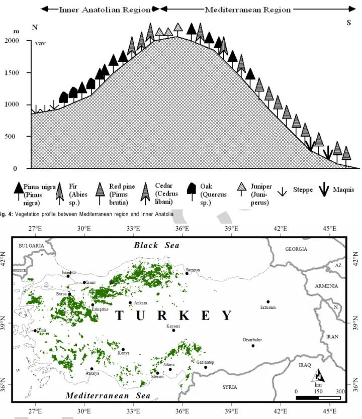 Fig.  4:  Vegetation  profile  between  Mediterranean  region  and  Inner  Anatolia