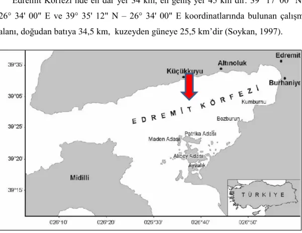 Şekil 3.1 Araştırma bölgesi. 