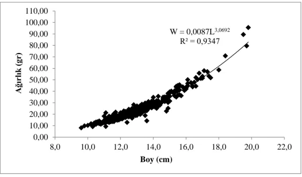 Şekil 4.10 Trisopterus minutus capelanus tüm bireylerinin boy-ağırlık ilişkisi. 