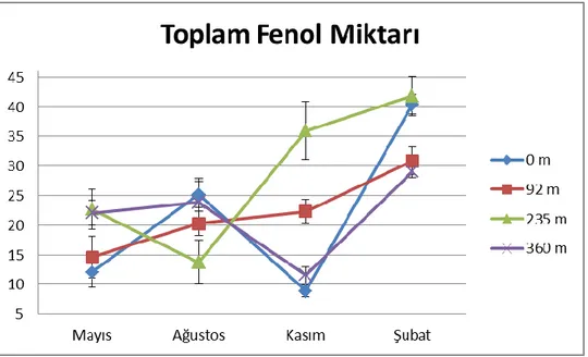 ġekil 4.3: Farklı mevsimlerde ve farklı yükseltilerden toplanan Ayvalık çeĢidi zeytin  yapraklarının toplam fenol miktarı