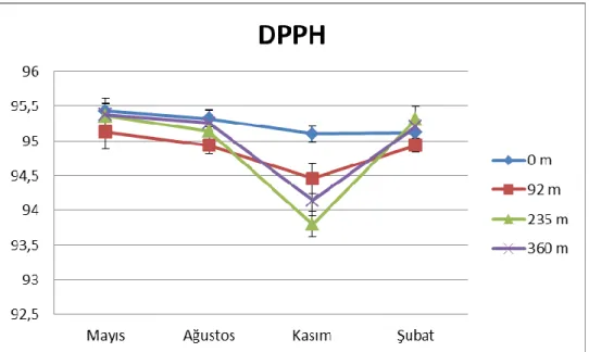 ġekil 4.4: Farklı mevsimlerde ve farklı yükseltilerden toplanan zeytin yapraklarının  DPPH değerleri