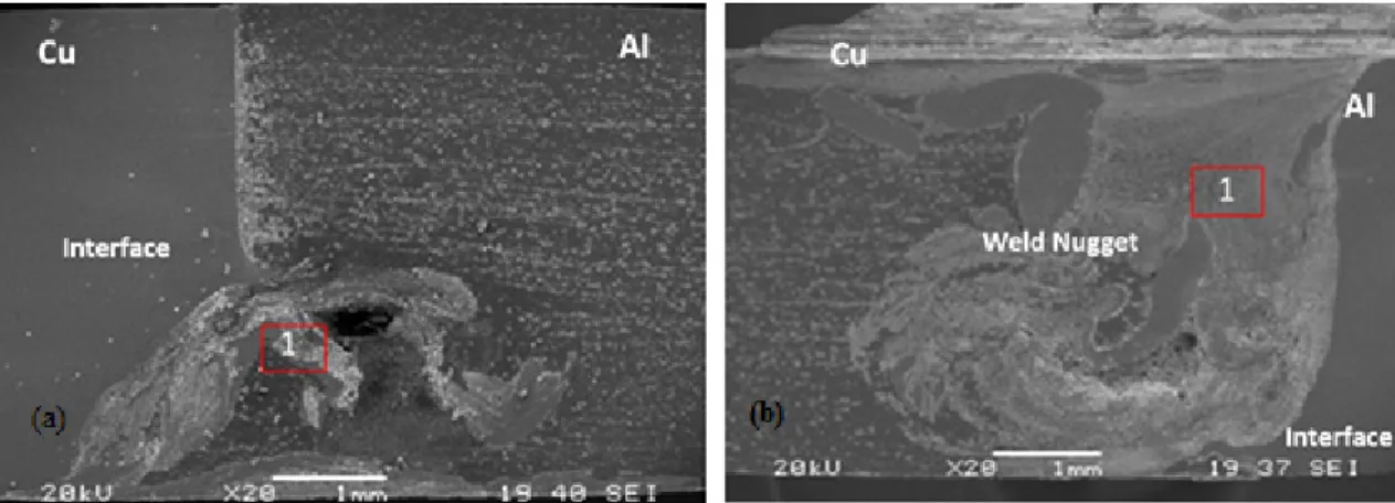 Figure 18. SEM images of (a) 630/50/1 specimen; (b) 1330/20/1 specimen. 